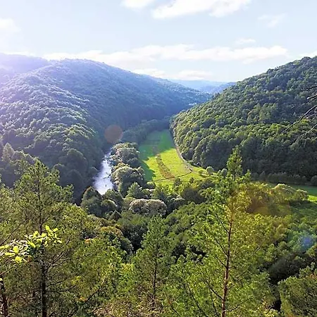 U Lesa - Vranovska Prehrada 山林小屋 *